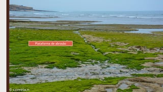 Plataforma de abrasão
 