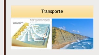 Transporte
 