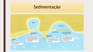 Sedimentação
 