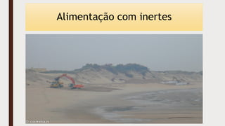 Alimentação com inertes
 