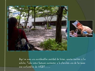Aquí se crea una considerables cantidad de brisas, gracias también a los
arboles. Todos estos factores convierten a la plazoleta una de las áreas
mas confortables de UNIBE…..
 