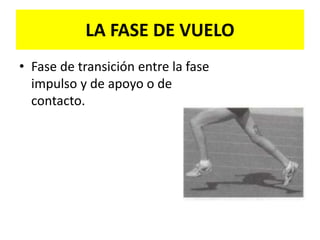 LA FASE DE VUELO
• Fase de transición entre la fase
impulso y de apoyo o de
contacto.
 