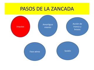 PASOS DE LA ZANCADA
Impulso
Fase aérea Sostén
Acción de
tronco y
brazos
Amortigua
miento
 