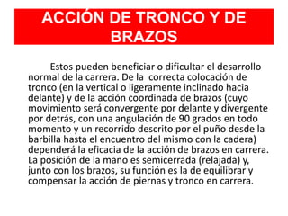 ACCIÓN DE TRONCO Y DE
BRAZOS
Estos pueden beneficiar o dificultar el desarrollo
normal de la carrera. De la correcta colocación de
tronco (en la vertical o ligeramente inclinado hacia
delante) y de la acción coordinada de brazos (cuyo
movimiento será convergente por delante y divergente
por detrás, con una angulación de 90 grados en todo
momento y un recorrido descrito por el puño desde la
barbilla hasta el encuentro del mismo con la cadera)
dependerá la eficacia de la acción de brazos en carrera.
La posición de la mano es semicerrada (relajada) y,
junto con los brazos, su función es la de equilibrar y
compensar la acción de piernas y tronco en carrera.
 