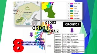09D01
XIMENA 1
PARROQUIA RURAL: PUNA -
ESTUARIO DEL RÍO GUAYAS
09D02
XIMENA 2
CIRCUITOS
 