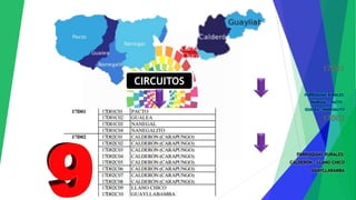 17D01
PARROQUIAS RURALES:
NANEGAL – PACTO –
GUALEA - NANEGALITO
17D02
PARROQUIAS RURALES:
CALDERÓN - LLANO CHICO
GUAYLLABAMBA
CIRCUITOS
 