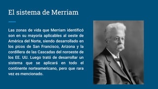El sistema de Merriam
Las zonas de vida que Merriam identificó
son en su mayoría aplicables al oeste de
América del Norte, siendo desarrollado en
los picos de San Francisco, Arizona y la
cordillera de las Cascadas del noroeste de
los EE. UU. Luego trató de desarrollar un
sistema que se aplicará en todo el
continente norteamericano, pero que rara
vez es mencionado.
 