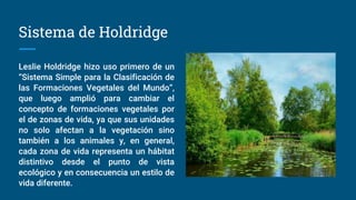 Sistema de Holdridge
Leslie Holdridge hizo uso primero de un
“Sistema Simple para la Clasificación de
las Formaciones Vegetales del Mundo”,
que luego amplió para cambiar el
concepto de formaciones vegetales por
el de zonas de vida, ya que sus unidades
no solo afectan a la vegetación sino
también a los animales y, en general,
cada zona de vida representa un hábitat
distintivo desde el punto de vista
ecológico y en consecuencia un estilo de
vida diferente.
 