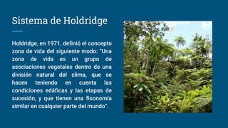 Sistema de Holdridge
Holdridge, en 1971, definió el concepto
zona de vida del siguiente modo: “Una
zona de vida es un grupo de
asociaciones vegetales dentro de una
división natural del clima, que se
hacen teniendo en cuenta las
condiciones edáficas y las etapas de
sucesión, y que tienen una fisonomía
similar en cualquier parte del mundo”.
 