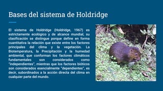 Bases del sistema de Holdridge
El sistema de Holdridge (Holdridge, 1967) es
estrictamente ecológico y de alcance mundial, su
clasificación se distingue porque define en forma
cuantitativa la relación que existe entre los factores
principales del clima y la vegetación. La
Biotemperatura, la Precipitación y la humedad
ambiental, que conforman los factores climáticos
fundamentales son considerados como
“independientes”, mientras que los factores bióticos
son considerados esencialmente “dependientes”, es
decir, subordinados a la acción directa del clima en
cualquier parte del mundo.
 