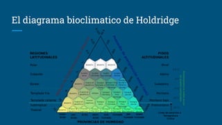 El diagrama bioclimatico de Holdridge
 