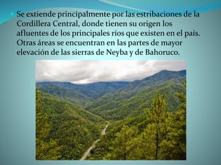  Se extiende principalmente por las estribaciones de la
Cordillera Central, donde tienen su origen los
afluentes de los principales ríos que existen en el país.
Otras áreas se encuentran en las partes de mayor
elevación de las sierras de Neyba y de Bahoruco.
 