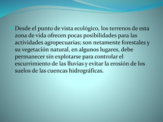  Desde el punto de vista ecológico, los terrenos de esta
zona de vida ofrecen pocas posibilidades para las
actividades agropecuarias; son netamente forestales y
su vegetación natural, en algunos lugares, debe
permanecer sin explotarse para controlar el
escurrimiento de las lluvias y evitar la erosión de los
suelos de las cuencas hidrográficas.
 