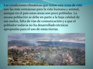  Las condiciones climáticas que reúne esta zona de vida
son las más ventajosas para la vida humana y animal,
aunque en el país estas áreas son poco pobladas. La
escasa población se debe en parte a la baja calidad de
sus suelos, falta de vías de comunicación y a que el
poblador todavía no ha desarrollado técnicas
apropiadas para el uso de estas tierras.
 
