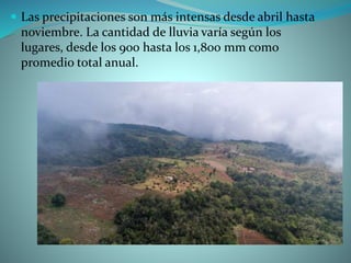  Las precipitaciones son más intensas desde abril hasta
noviembre. La cantidad de lluvia varía según los
lugares, desde los 900 hasta los 1,800 mm como
promedio total anual.
 