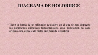 DIAGRAMA DE HOLDRIDGE
• Tiene la forma de un triángulo equilátero en el que se han dispuesto
los parámetros climáticos fundamentales, cuya correlación ha dado
origen a una especie de malla que permite visualizar
 