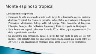 Localización y Superficie
 Esta zona de vida se extiende al este y a lo largo de la formación vegetal matorral
desértico Tropical. La franja en mención, cubre Bahía de Caráquez, Charapotó,
Portoviejo, Montecristi, Julcuy, valle del Ayanpe Alto, Colonche, el Progreso,
Chongón, Posorja, islas Bellavista, Escalante y Puna en el golfo de Guayaquil.
 Esta formación vegetal cubre una Área de 773.413Has.., que representan el 3%
de la superficie del ecuador.
 Se encuentra esta formación, desde el nivel del mar hasta la cota de los 300
metros. Esta característica por una temperatura media anual que oscila entre los
24 y 26 c, y una precipitación promedio anual entre los 250 y 500 milímetros.
 