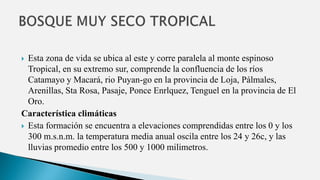  Esta zona de vida se ubica al este y corre paralela al monte espinoso
Tropical, en su extremo sur, comprende la confluencia de los ríos
Catamayo y Macará, rio Puyan-go en la provincia de Loja, Pálmales,
Arenillas, Sta Rosa, Pasaje, Ponce Enrlquez, Tenguel en la provincia de El
Oro.
Característica climáticas
 Esta formación se encuentra a elevaciones comprendidas entre los 0 y los
300 m.s.n.m. la temperatura media anual oscila entre los 24 y 26c, y las
lluvias promedio entre los 500 y 1000 milimetros.
 
