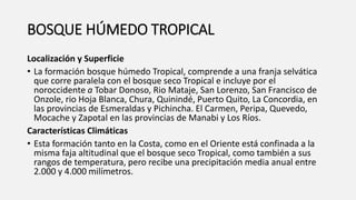 BOSQUE HÚMEDO TROPICAL
Localización y Superficie
• La formación bosque húmedo Tropical, comprende a una franja selvática
que corre paralela con el bosque seco Tropical e incluye por el
noroccidente a Tobar Donoso, Rio Mataje, San Lorenzo, San Francisco de
Onzole, rio Hoja Blanca, Chura, Quinindé, Puerto Quito, La Concordia, en
las provincias de Esmeraldas y Pichincha. El Carmen, Peripa, Quevedo,
Mocache y Zapotal en las provincias de Manabi y Los Ríos.
Características Climáticas
• Esta formación tanto en la Costa, como en el Oriente está confinada a la
misma faja altitudinal que el bosque seco Tropical, como también a sus
rangos de temperatura, pero recibe una precipitación media anual entre
2.000 y 4.000 milímetros.
 