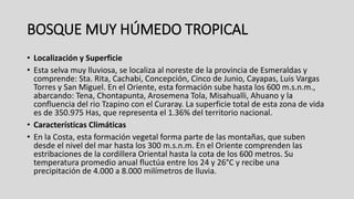 BOSQUE MUY HÚMEDO TROPICAL
• Localización y Superficie
• Esta selva muy lluviosa, se localiza al noreste de la provincia de Esmeraldas y
comprende: Sta. Rita, Cachabi, Concepción, Cinco de Junio, Cayapas, Luis Vargas
Torres y San Miguel. En el Oriente, esta formación sube hasta los 600 m.s.n.m.,
abarcando: Tena, Chontapunta, Arosemena Tola, Misahualli, Ahuano y la
confluencia del rio Tzapino con el Curaray. La superficie total de esta zona de vida
es de 350.975 Has, que representa el 1.36% del territorio nacional.
• Características Climáticas
• En la Costa, esta formación vegetal forma parte de las montañas, que suben
desde el nivel del mar hasta los 300 m.s.n.m. En el Oriente comprenden las
estribaciones de la cordillera Oriental hasta la cota de los 600 metros. Su
temperatura promedio anual fluctúa entre los 24 y 26°C y recibe una
precipitación de 4.000 a 8.000 milímetros de lluvia.
 