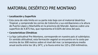 MATORRAL DESÉRTICO PRE MONTANO
• Localización y Superficie
• Esta zona de vida limita en su parte más baja con el matorral desértico
Tropical, y comprende los cerros de Colonche y sus estribaciones a la altura
de Puerto López y Machalilla en la provincia de Manabí. Apenas cubre una
superficie de 4.875 Has, que representa el 0.02% del área del país.
• Características Climáticas
• La faja Latitudinal Pre Montano, corresponde en nuestro país al subtrópico.
En sentido altitudinal, esta formación vegetal se encuentra en la costa por
encima de los 300 metros sobre el nivel del mar. La temperatura media
anual oscila entre los 18 y 24°C, y la lluvia entre los 125 y 250 milímetros.
 