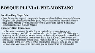 BOSQUE PLUVIAL PRE-MONTANO
Localización y Superficie
• Esta formación vegetal comprende las partes altas del bosque muy húmedo
Tropical. En el noroccidente del país, se localizan en las montañas donde
nace el río Mataje-Urbina, en dirección al curso alto del río Santiago, e
Inmediaciones del río San Miguel
Características Climáticas
• En la Costa, esta zona de vida forma parte de las montañas que se
encuentran sobre los 300 metros hasta la cota de los 1.800 ó 2.000 metros,
mientras en el Oriente se los encuentra en las estribaciones de la cordillera
Oriental por arriba de los 600 metros hasta los 1.800 ó 2.000 metros de
altitud. Su temperatura media anual registra los 18 y 24°C, y recibe lluvias
que oscilan entre los 4.000 y 8.000 milímetros anuales. Esta es una de las
formaciones vegetales más lluviosas que se encuentran en el Ecuador.
 