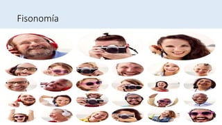 Fisonomía
 