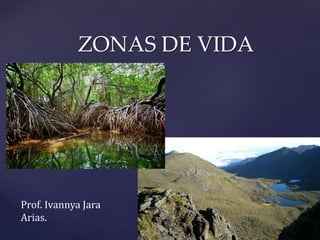 ZONAS DE VIDA
Prof. Ivannya Jara
Arias.
 