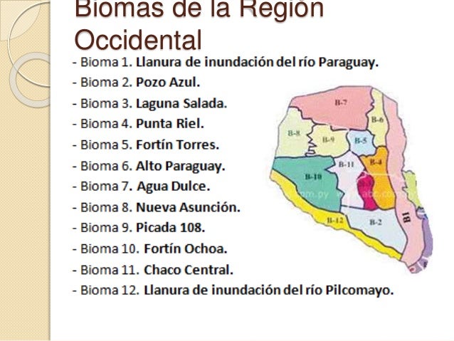Resultado de imagen para Biomas de paraguay