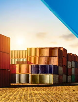 Zonas francas español web red