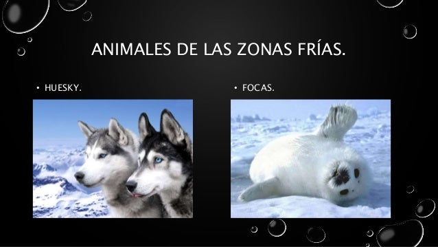 Zonas frias