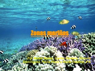 Zonas mariñas


  Por Mateo Núñez, Carlos Ferreiro, Victoria
Domínguez, Paula Pérez e Nuria Outeiral, 4ºA
 