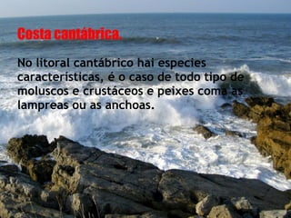 Costa cantábrica.
No litoral cantábrico hai especies
características, é o caso de todo tipo de
moluscos e crustáceos e peixes coma as
lampreas ou as anchoas.
 