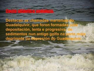 Costa atlántica andaluza.
Destacan as chamadas marismas do
Guadalquivir, que foron formadas pola
depositación, lenta e progresiva, de
sedimentos nun antigo golfo na parte máis
deprimida da depresión do Guadalquivir.
 