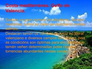 Costa mediterránea. Golfo de
Valencia.
Existen un gran número de albufeiras, dunas e
marismas, sobre as cales se explotaron moitas
salinas.
Destacan tamén os campos de arroz no litoral
valenciano e diversos campos de cultivos, pois
as condicións son óptimas para elo, aínda que
tamén veñen determinadas polas chuvias
torrencias abundantes nestas zonas.
 