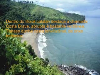 Dentro do litoral catalán destaca a chamada
Costa Brava, abrupta e bastante rectílinea.
Trátase dunha costa lonxitudinal, de orixe
tectónico.
 