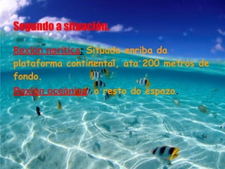 Segundo a situación.

Rexión nerítica: Situada enriba da
plataforma continental, ata 200 metros de
fondo.
Rexión oceánica: o resto do espazo.
 