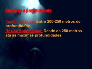 Segundo a profundidade.

Rexión peláxica: Entre 200-250 metros de
profundidade.
Rexión batipeláxica: Desde os 250 metros
ata as máximas profundidades.
 