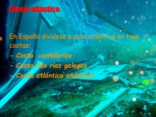 Litoral atlántico.


En España divídese a zona atlántica en tres
costas:
- Costa cantábrica
- Costa das rías galegas
- Costa atlántica andaluza.
 