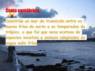 Costa cantábrica.

Constitúe un mar de transición entre os
mares fríos do norte e os temperados do
trópico, o que fai que sexa ecotono de
especies vexetais e animais adaptados ás
augas máis frías
 