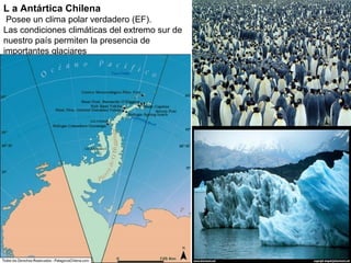 L a Antártica Chilena Posee un clima polar verdadero (EF). Las condiciones climáticas del extremo sur de nuestro país permiten la presencia de importantes glaciares 