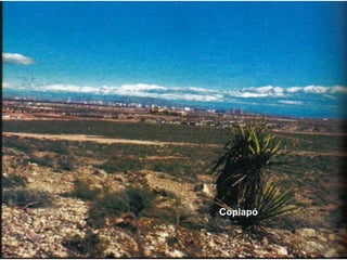 Copiapó
 