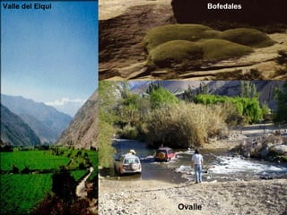 Valle del Elqui            Bofedales




                  Ovalle
 