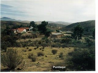 Punitaqui
 