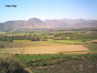 Llay Llay
 