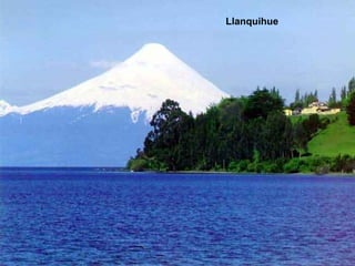 Llanquihue
 