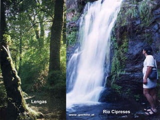 Lengas

         Río Cipreses
 