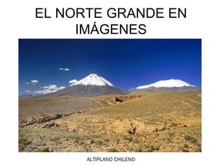 EL NORTE GRANDE EN
     IMÁGENES




      ALTIPLANO CHILENO
 