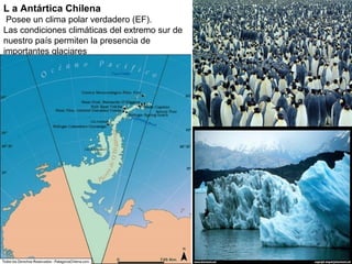 L a Antártica Chilena
 Posee un clima polar verdadero (EF).
Las condiciones climáticas del extremo sur de
nuestro país permiten la presencia de
importantes glaciares
 