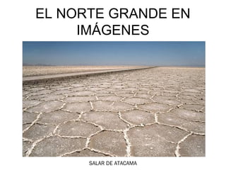 EL NORTE GRANDE EN
     IMÁGENES




      SALAR DE ATACAMA
 